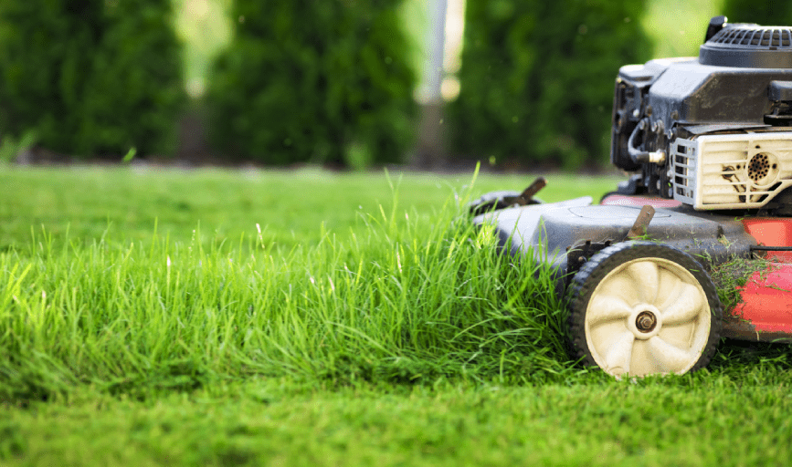 LAWN MOWING